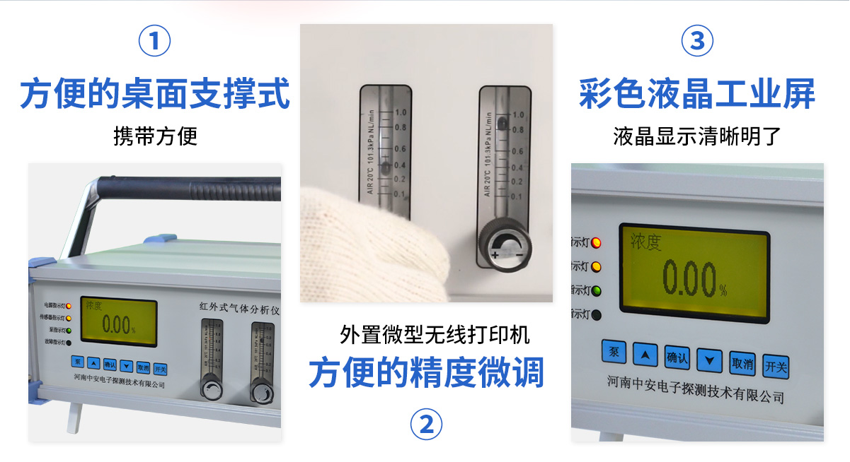 S200型雙流量泵吸式氣體分析報警儀_05